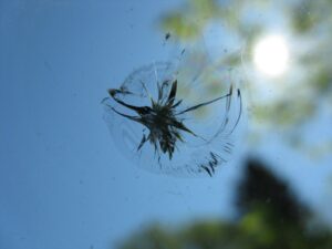 Windshield Repair